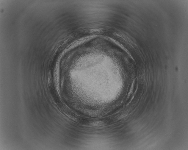 X0000072950748200608181406