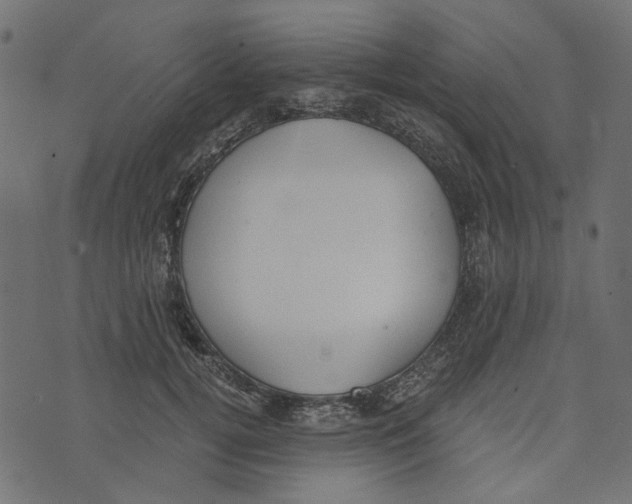 X0000072950752200608181406