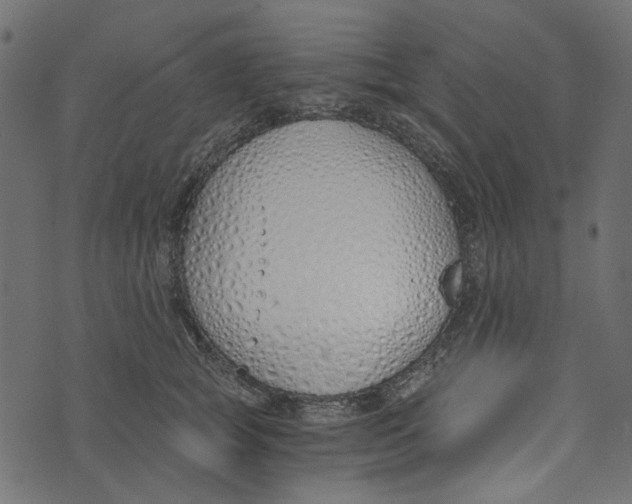 X0000072950757200608181406