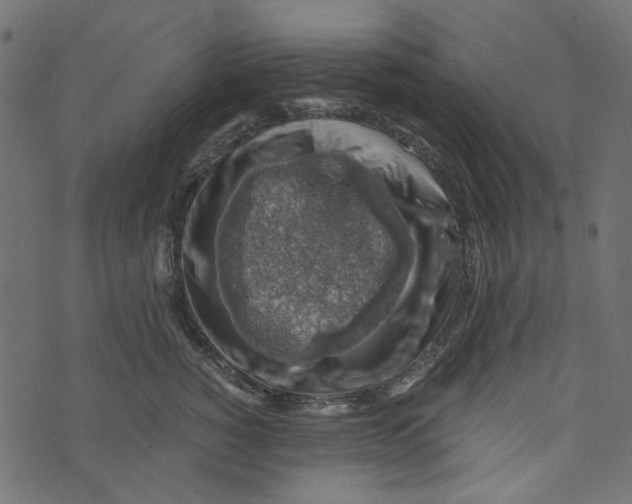 X0000072950760200608181406
