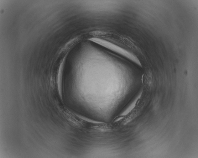 X0000072950763200608181406