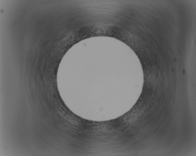 X0000072950769200608181405