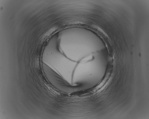 X0000072950777200608181405