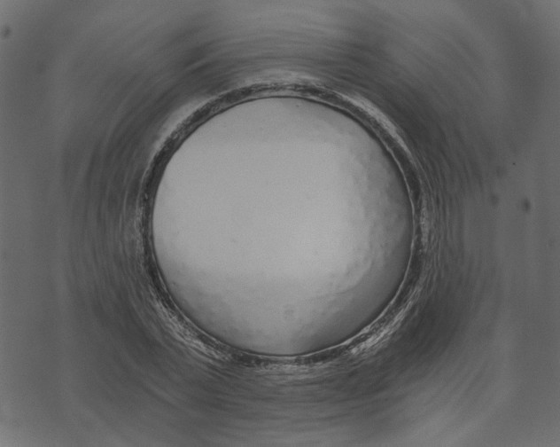 X0000072950783200608181405
