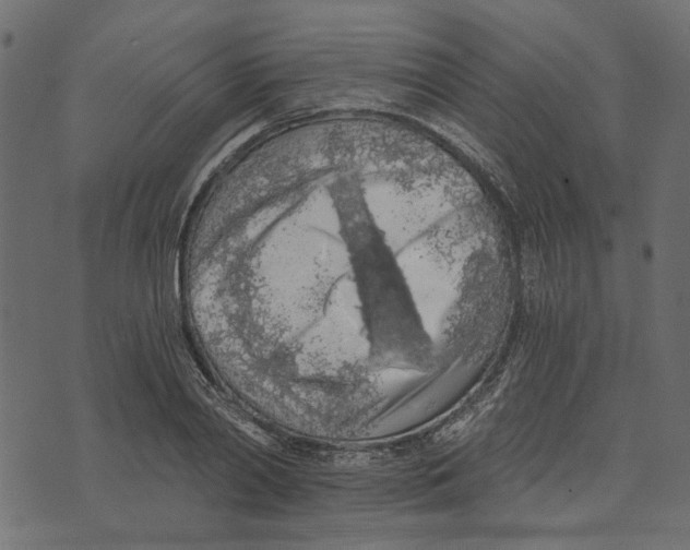 X0000072950790200608181405