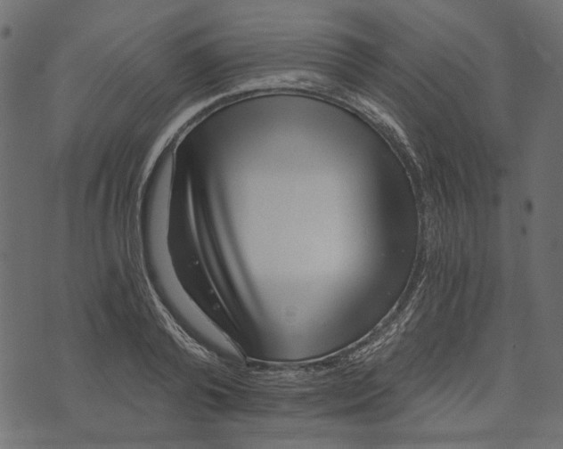 X0000072950792200608181405