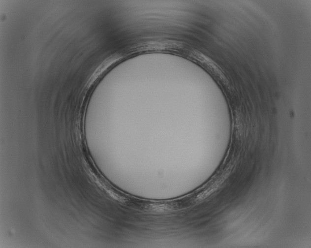 X0000072950794200608181405