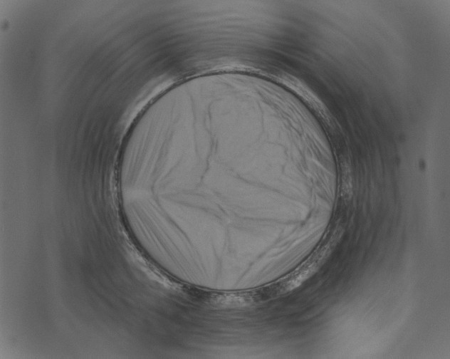 X0000072950806200608181405