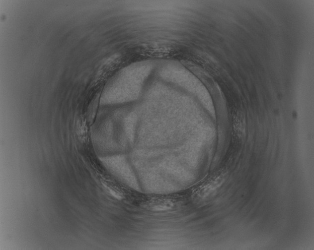 X0000072950818200608181404