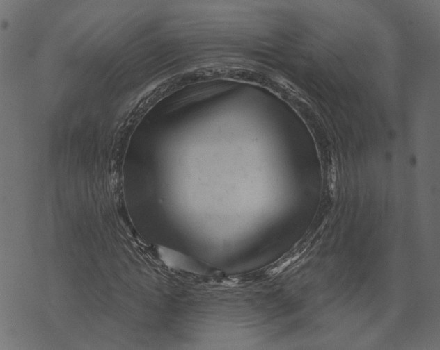 X0000072950822200608181404