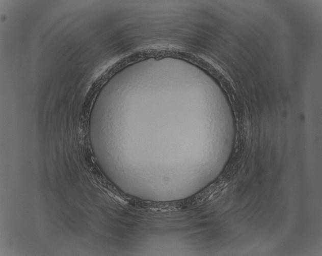 X0000072950823200608181404