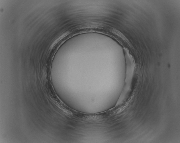 X0000072950826200608181404