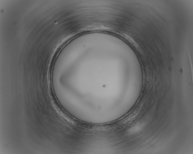 X0000072950840200608181404