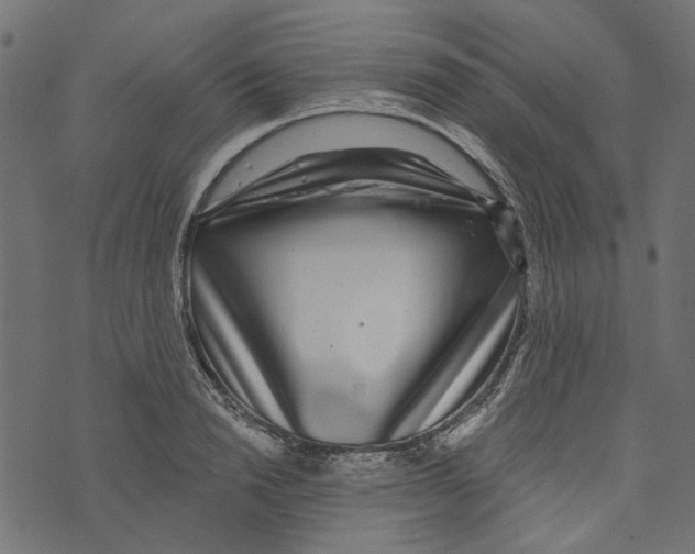 X0000072950846200608181404