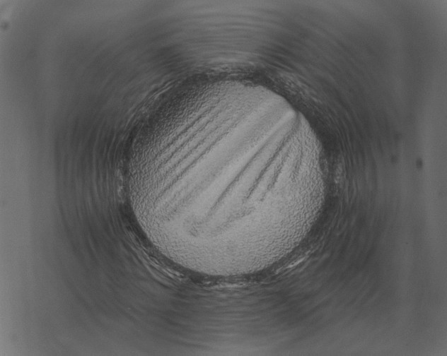 X0000072950868200608181404
