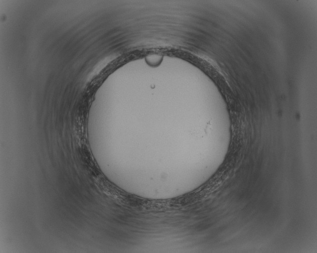 X0000072950871200608181403