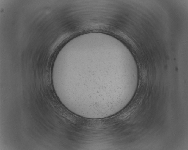 X0000072950878200608181403