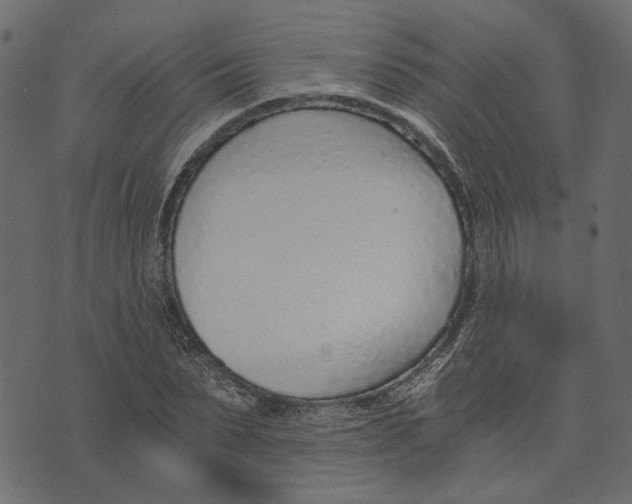 X0000072950879200608181403