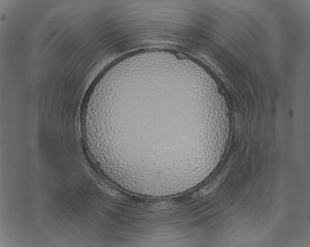 X0000072950891200608181403