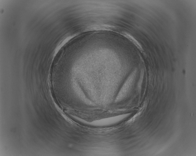 X0000072950893200608181403