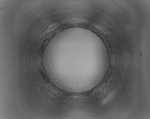X0000072950917200608181402