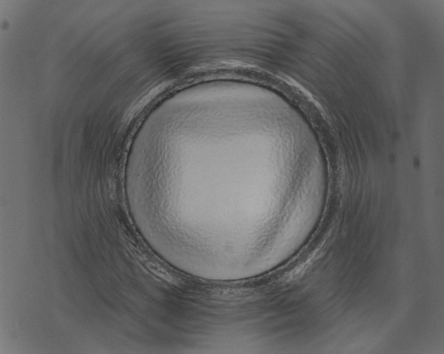 X0000072950921200608181402