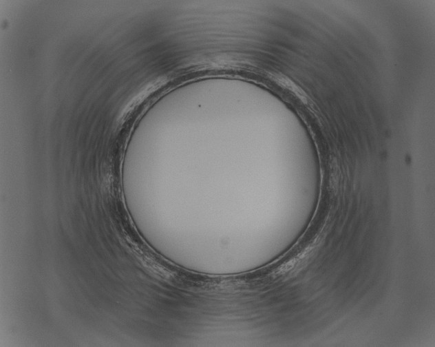 X0000072950922200608181402