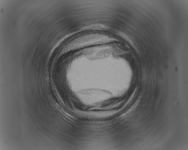 X0000072950923200608181402