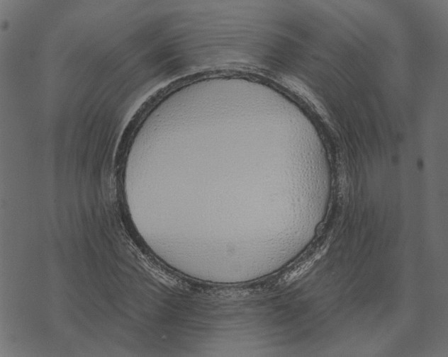 X0000072950924200608181402