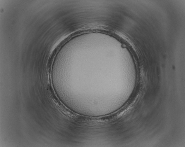X0000072950925200608181402