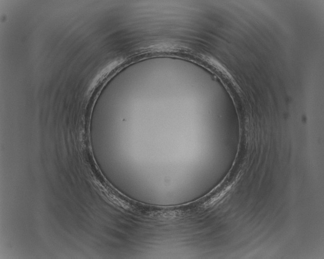 X0000072950930200608181402
