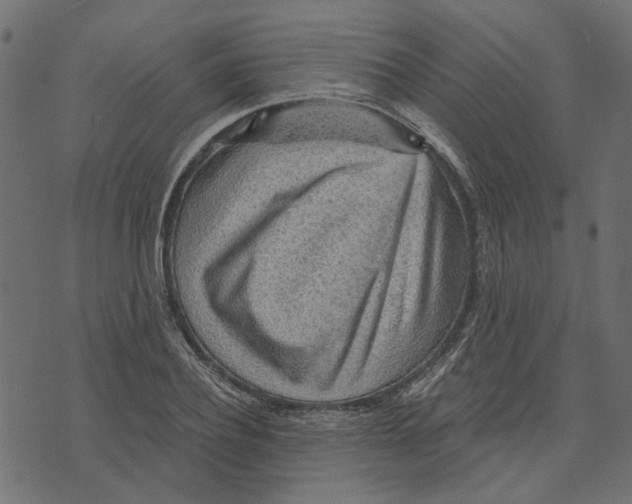 X0000072950932200608181402