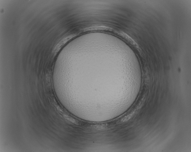 X0000072950937200608181402