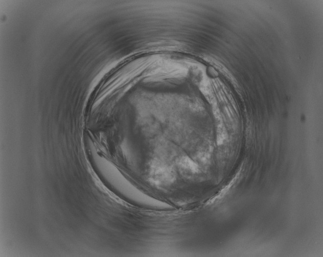 X0000072950941200608181402
