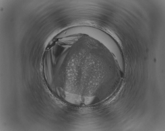 X0000072950944200608181403