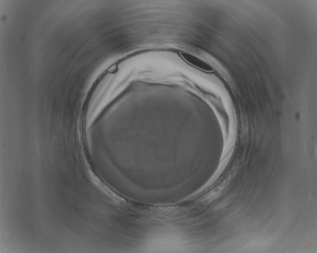 X0000072950958200608181403