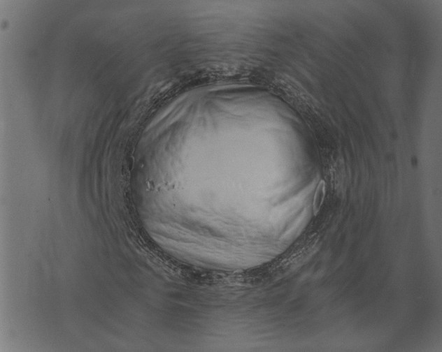 X0000072950961200608181402