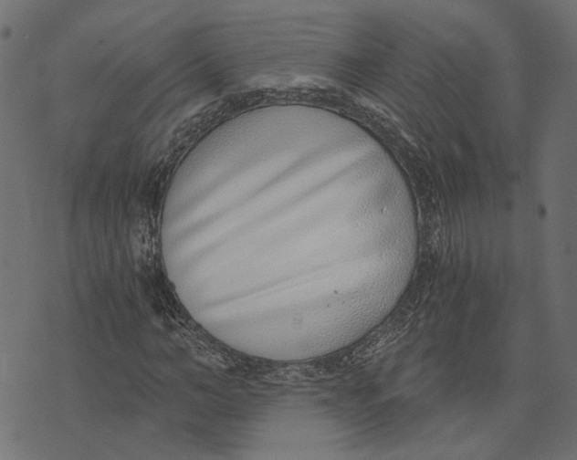 X0000072950966200608181402