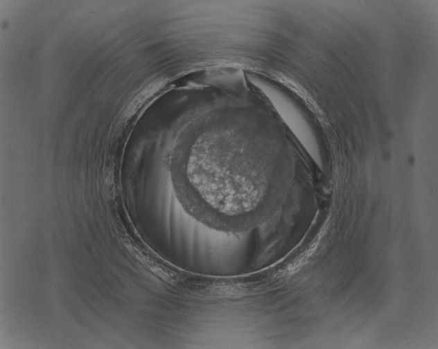 X0000072950977200608181402