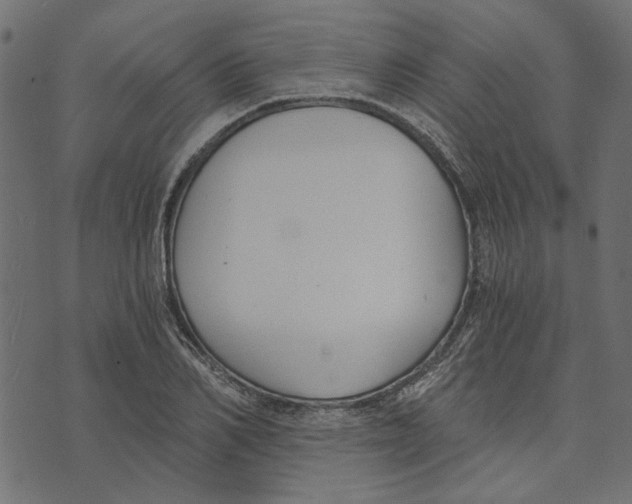 X0000072950982200608181402