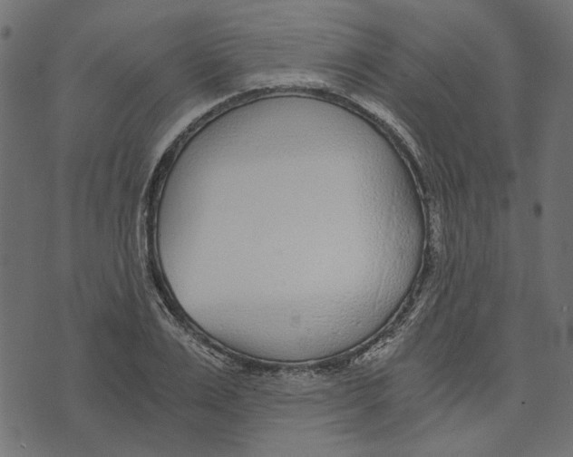 X0000072950983200608181402