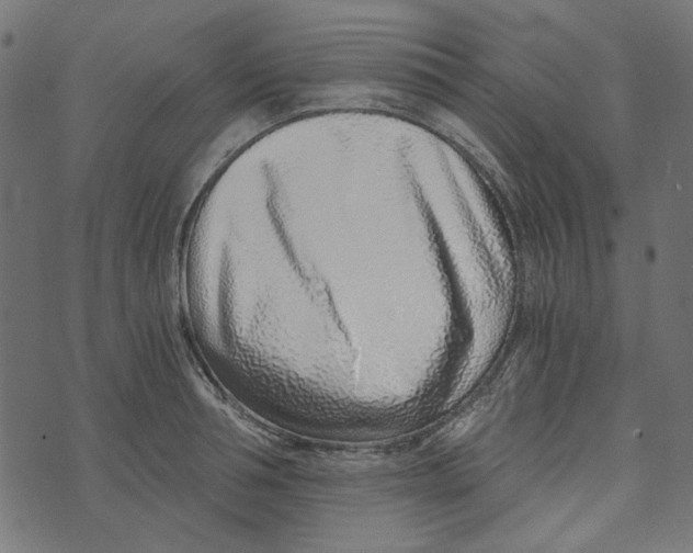 X0000072950994200608181401