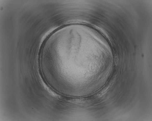 X0000072950995200608181401