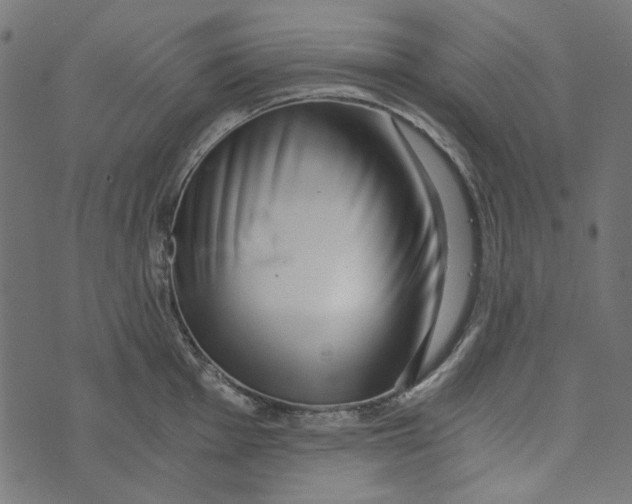 X0000072951001200608181401