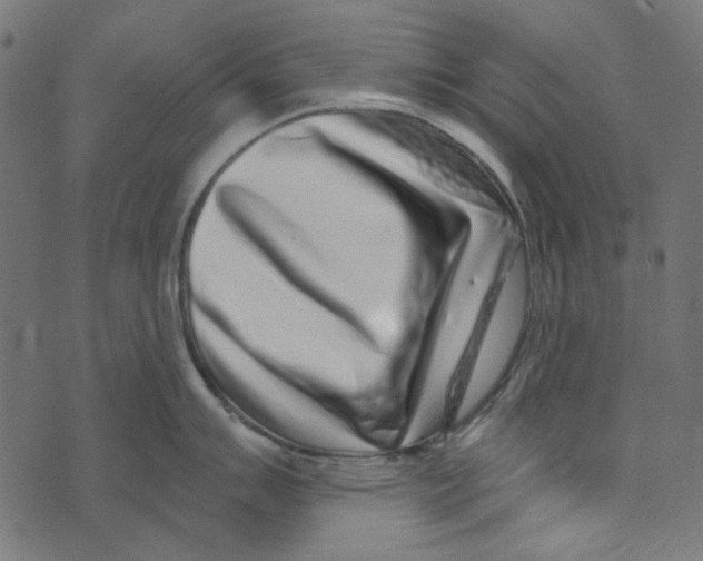 X0000072951007200608181401