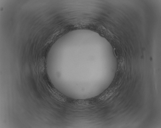X0000072951012200608181401