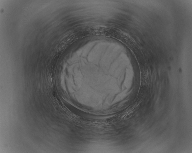 X0000072951013200608181401