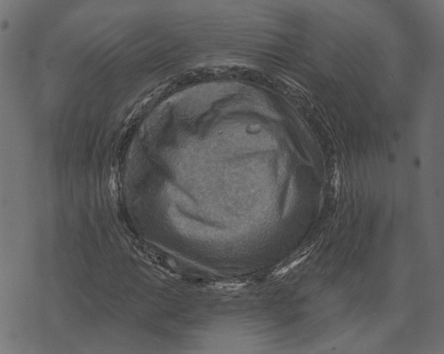 X0000072951014200608181401