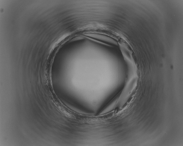 X0000072951018200608181401