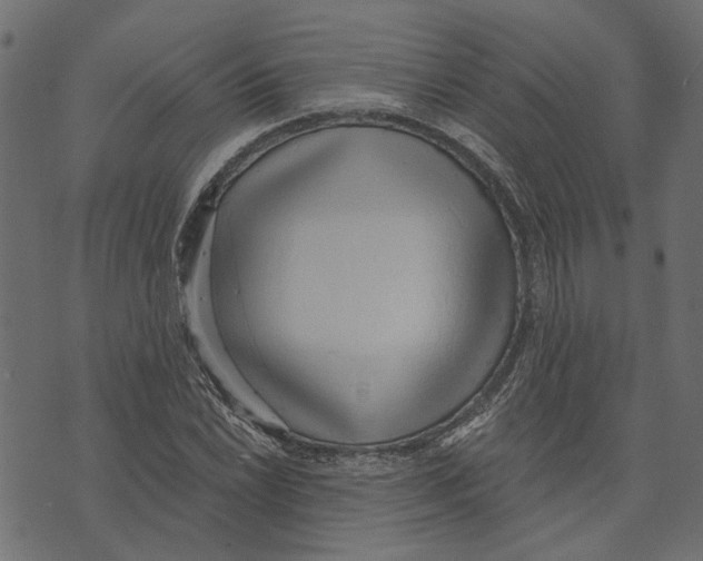 X0000072951022200608181401